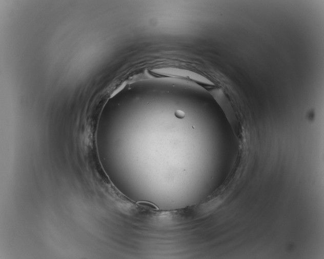 X0000112360382200908201508