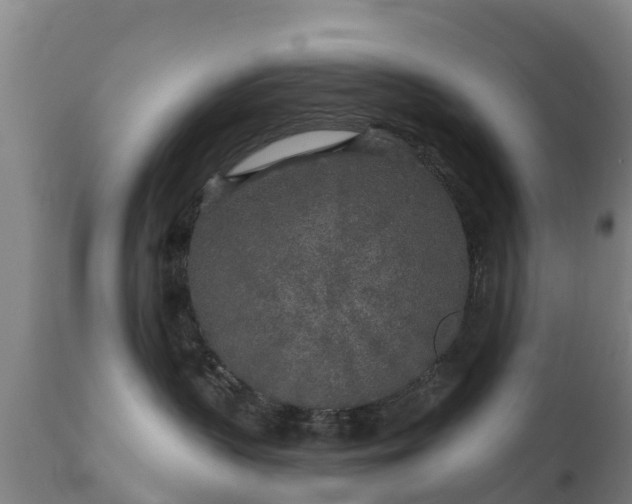 X0000112360383200908201508