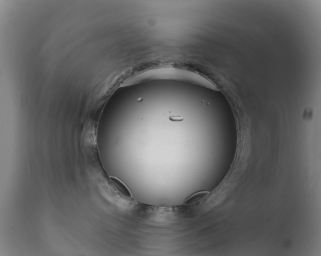 X0000112360384200908201508