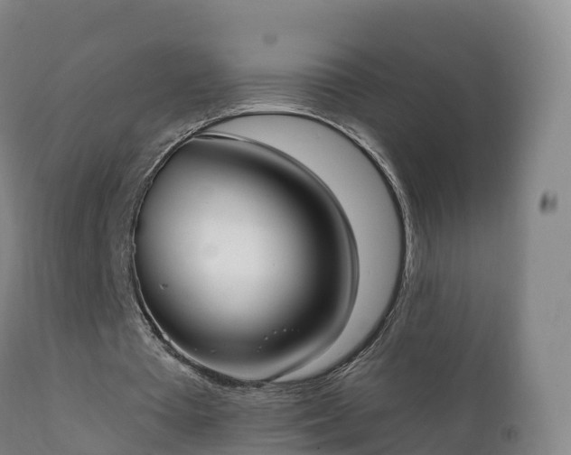 X0000112360385200908201508