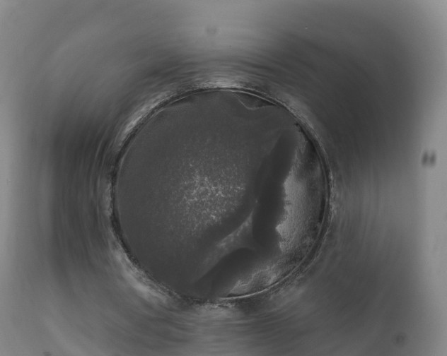 X0000112360386200908201508