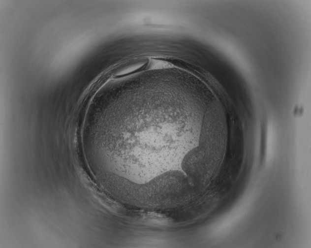 X0000112360387200908201508