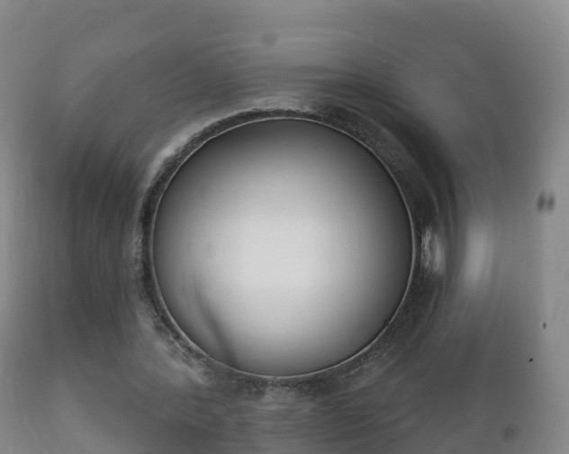 X0000112360388200908201508