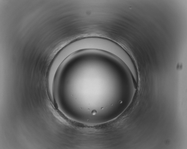 X0000112360389200908201508