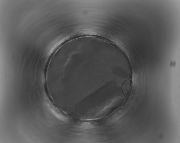 X0000112360390200908201508