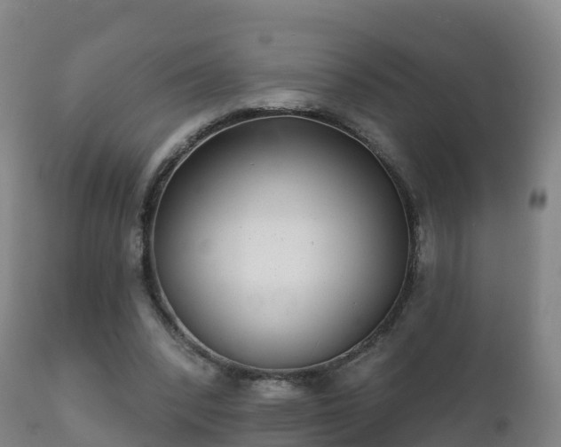 X0000112360392200908201507