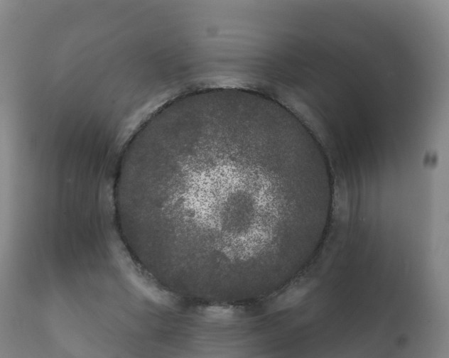 X0000112360394200908201507