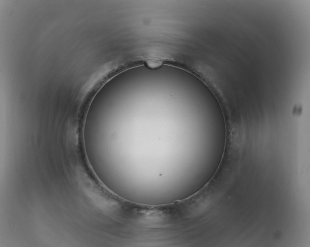 X0000112360395200908201507