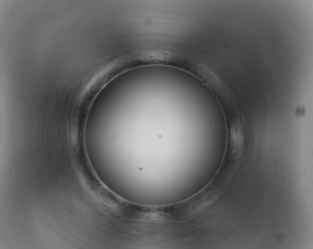 X0000112360396200908201507