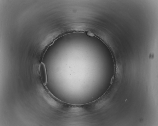 X0000112360397200908201507