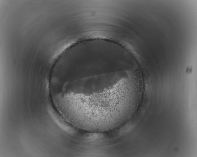 X0000112360398200908201507