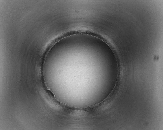 X0000112360399200908201507