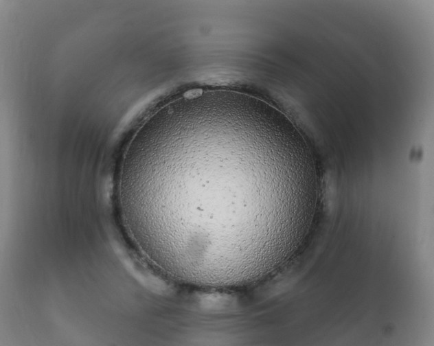 X0000112360400200908201507