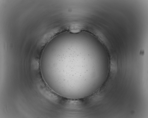 X0000112360401200908201507