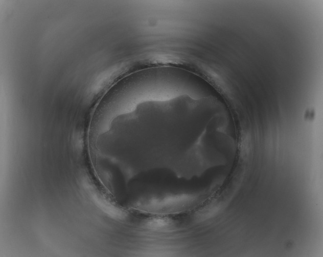 X0000112360402200908201507