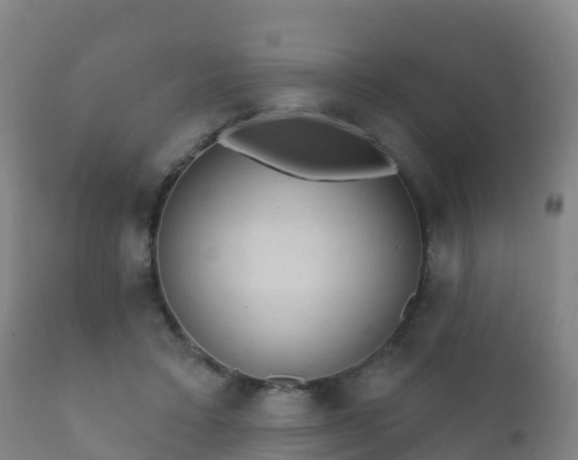 X0000112360403200908201507