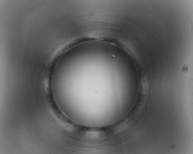 X0000112360404200908201507