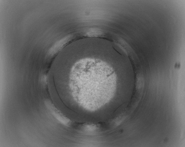 X0000112360405200908201507