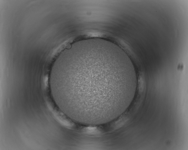 X0000112360406200908201507