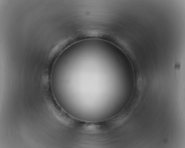 X0000112360407200908201507