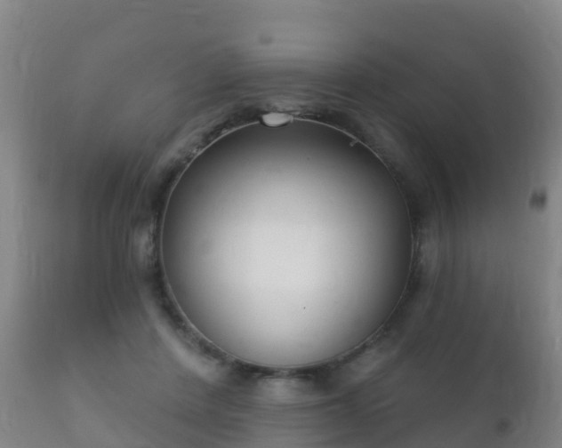 X0000112360408200908201507