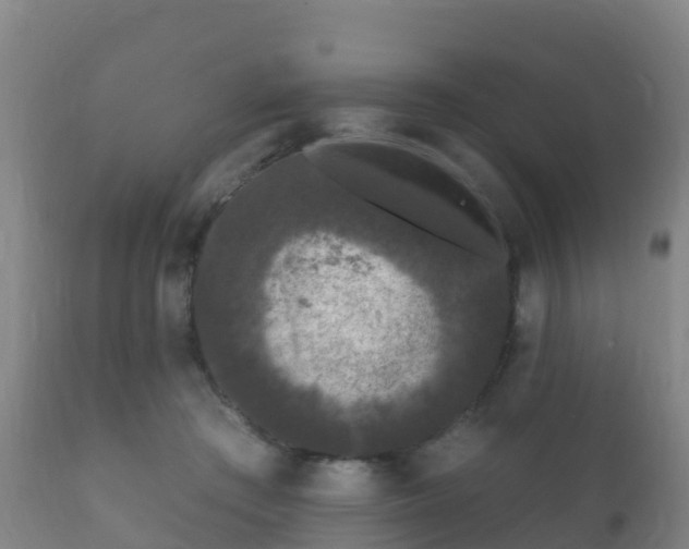 X0000112360409200908201507