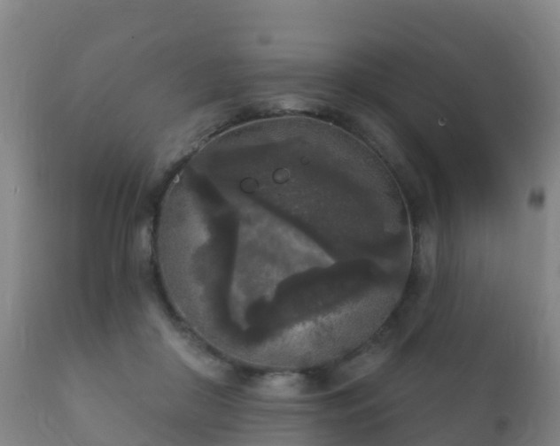 X0000112360410200908201507