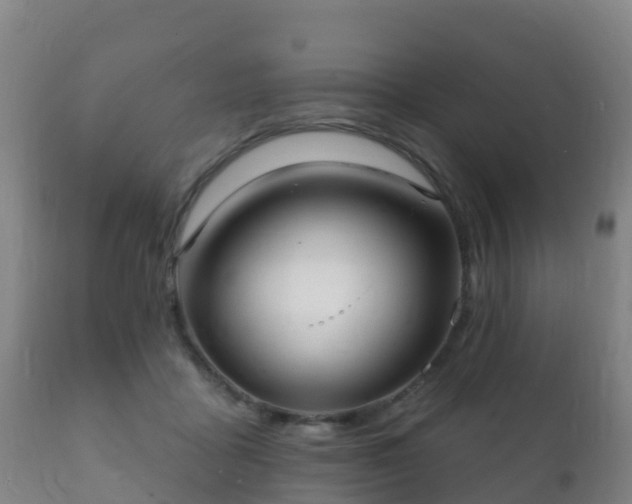 X0000112360411200908201507