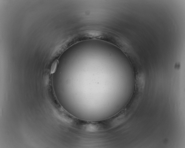 X0000112360412200908201507