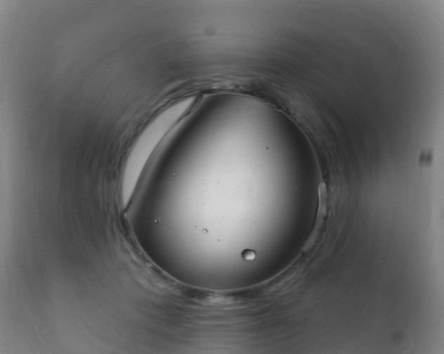 X0000112360413200908201507