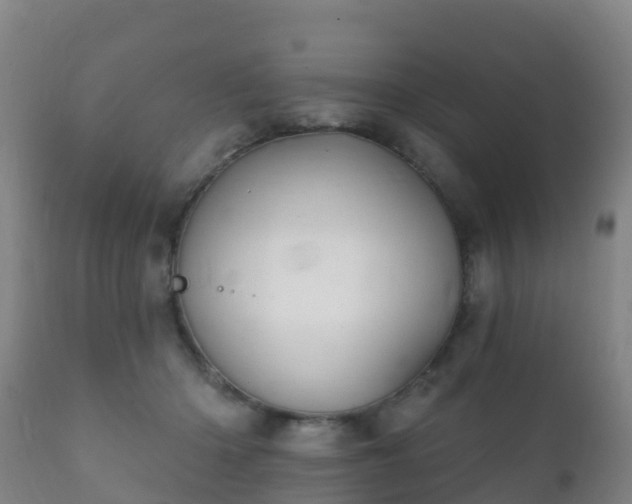 X0000112360414200908201507