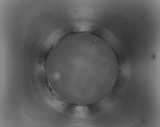 X0000112360415200908201507