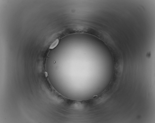 X0000112360416200908201507