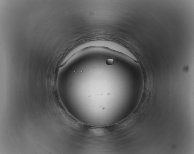 X0000112360417200908201507