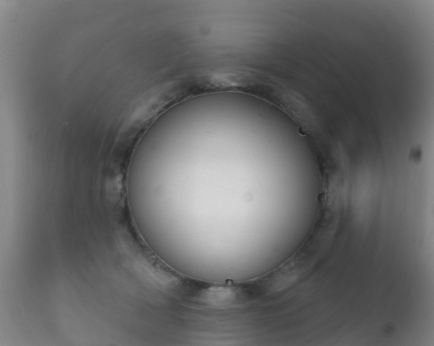 X0000112360418200908201507