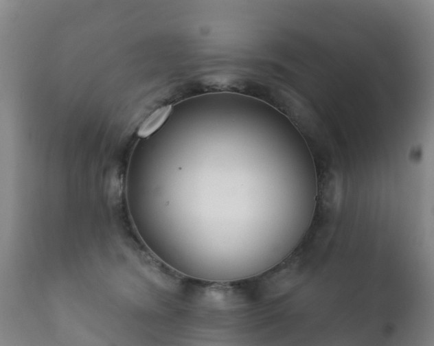 X0000112360420200908201507