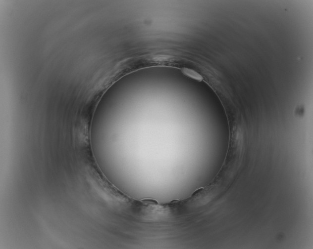 X0000112360421200908201507