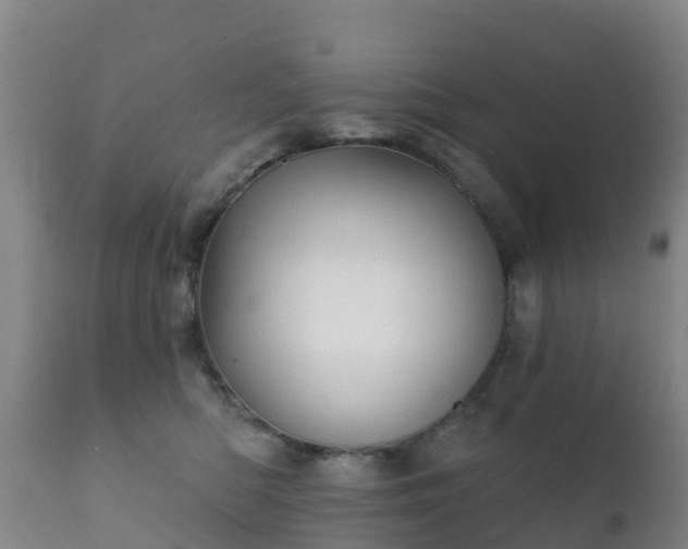 X0000112360422200908201507