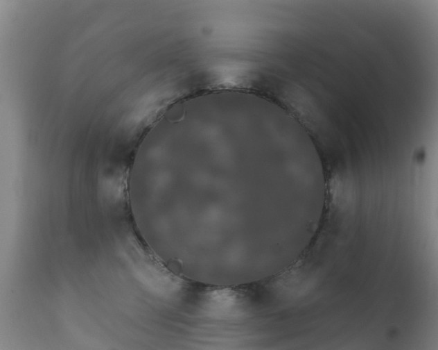 X0000112360423200908201507