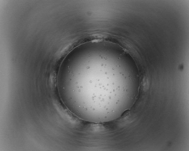 X0000112360424200908201507