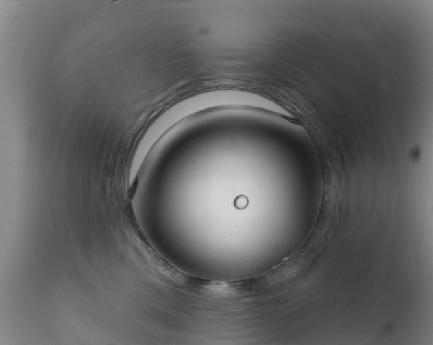 X0000112360425200908201507