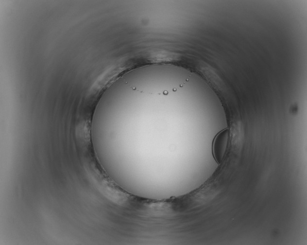 X0000112360426200908201507