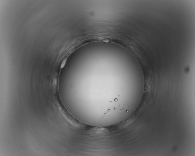 X0000112360427200908201507