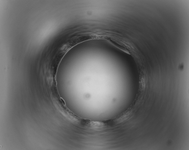 X0000112360429200908201507