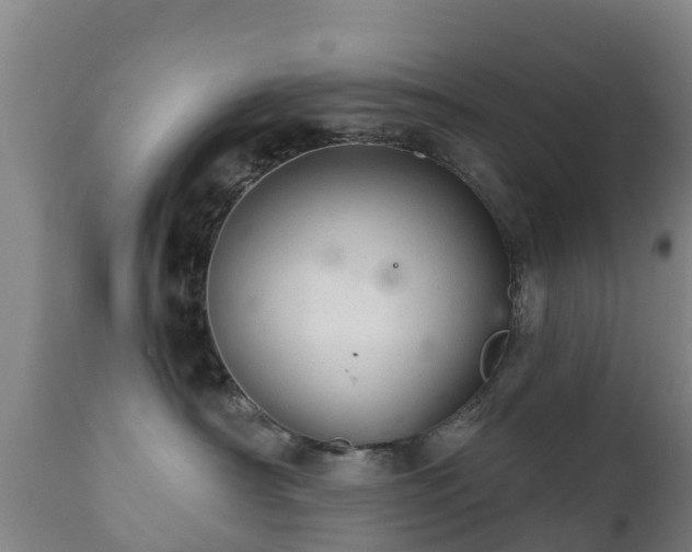 X0000112360430200908201507