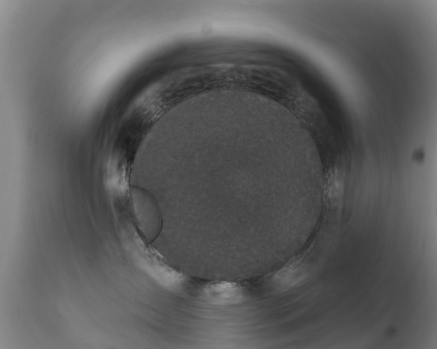 X0000112360431200908201507