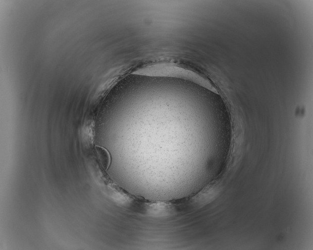 X0000112360432200908201507