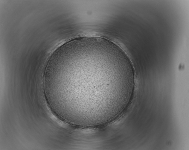 X0000112360433200908201506