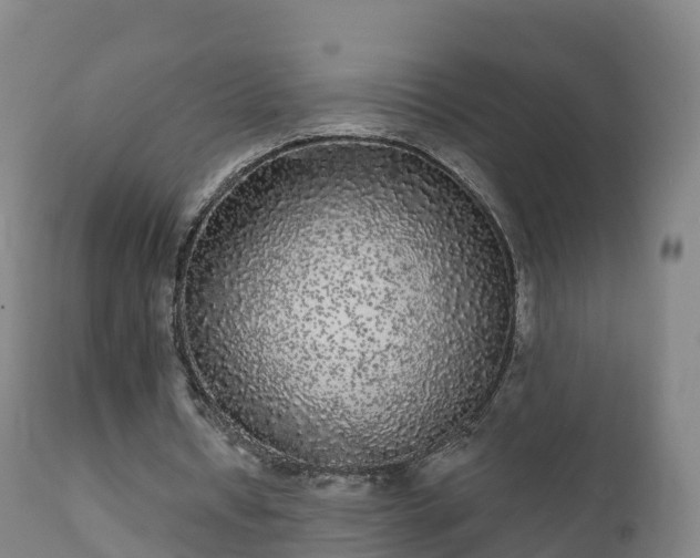 X0000112360434200908201506