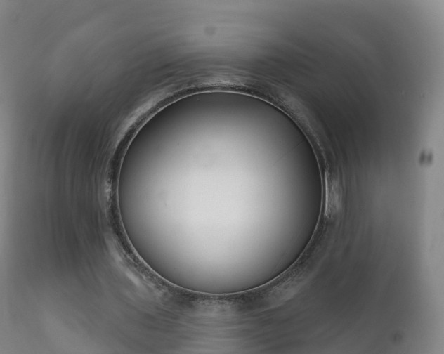 X0000112360435200908201506